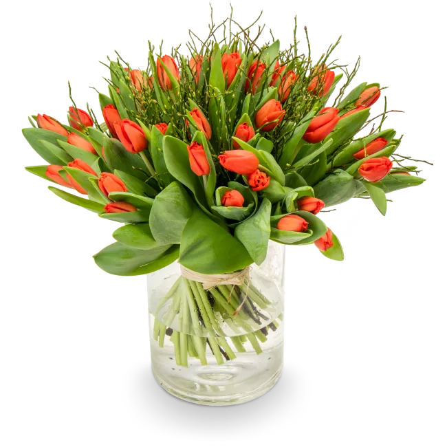 Bouquet of red tulips